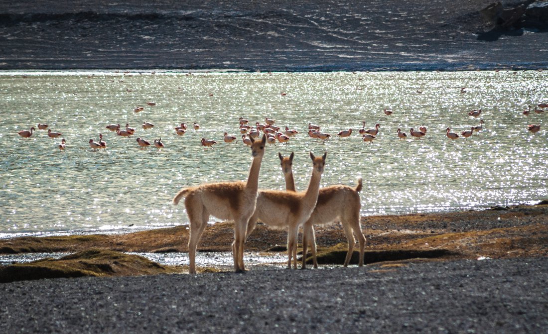 Photography Trip Experience In Argentina