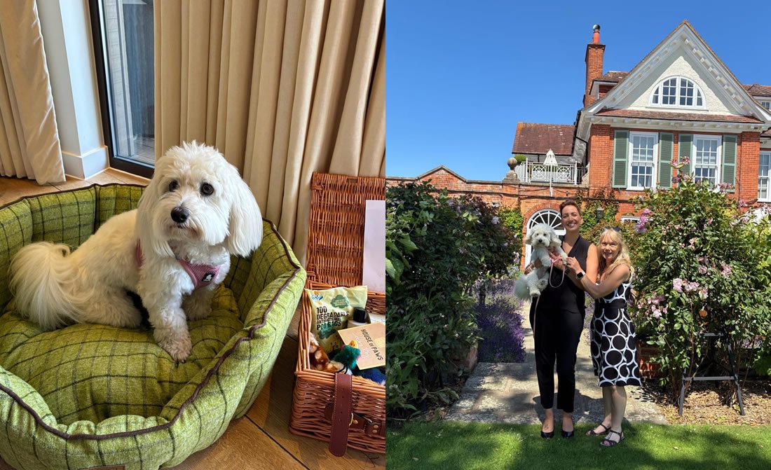 chewton-glen-pet-friendly-luxury-hotels-hampshire.jpg