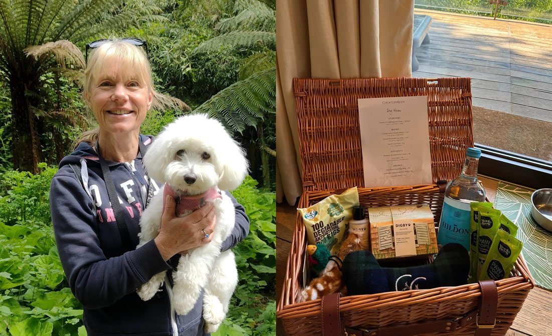 pixie-chewton-glen-luxury-pet-stay.jpg