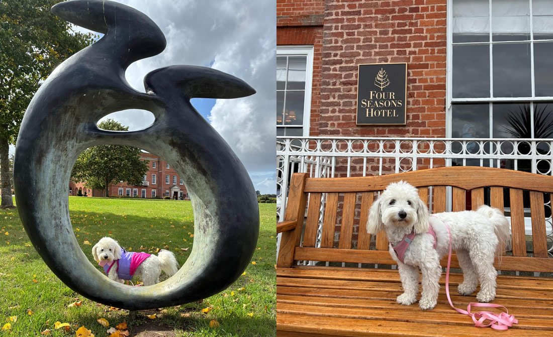 Pet Friendly Luxury Hotel Stay At Four Seasons Hotel Hampshire 5