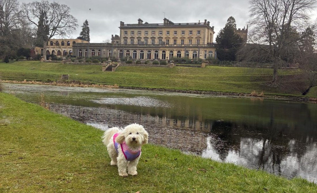 Whatsapp Image 2026 03 21 At 11 45 20 20